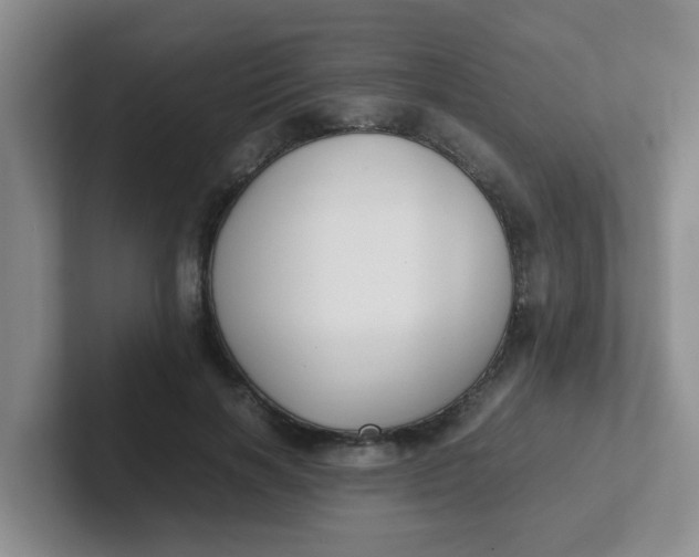 X0000102300646200808081545