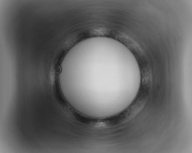 X0000102300647200808081545