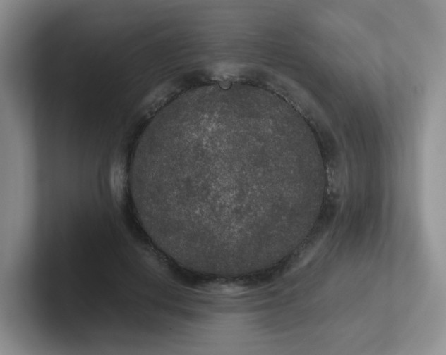 X0000102300648200808081545