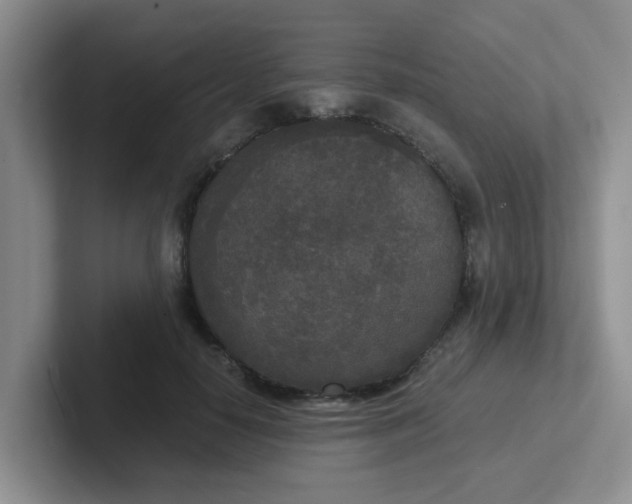 X0000102300650200808081545