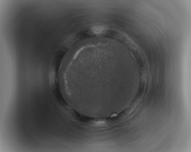 X0000102300651200808081545