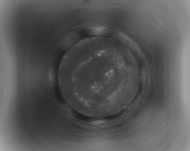 X0000102300653200808081545