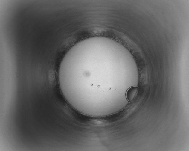 X0000102300654200808081545