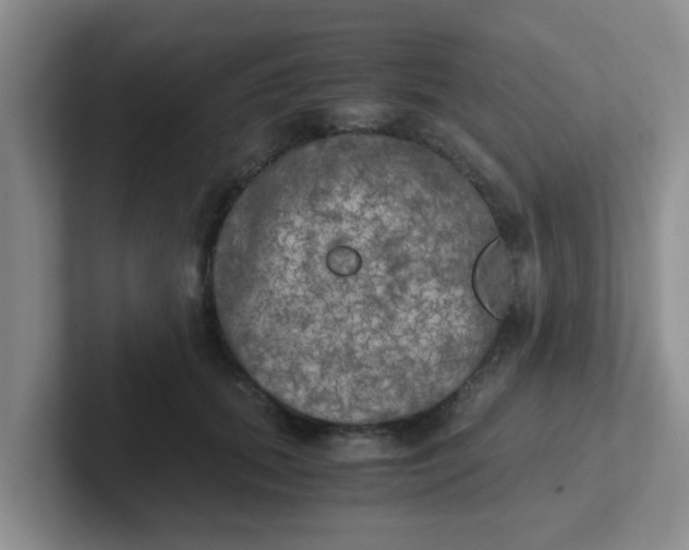 X0000102300655200808081545