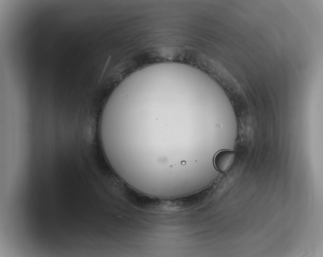 X0000102300656200808081545