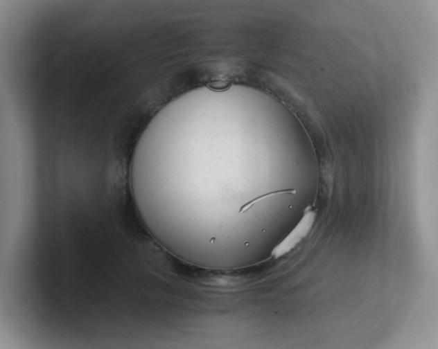 X0000102300657200808081545