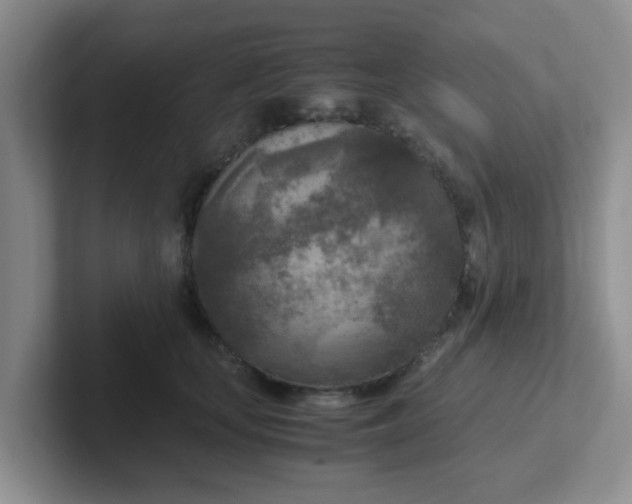 X0000102300659200808081545