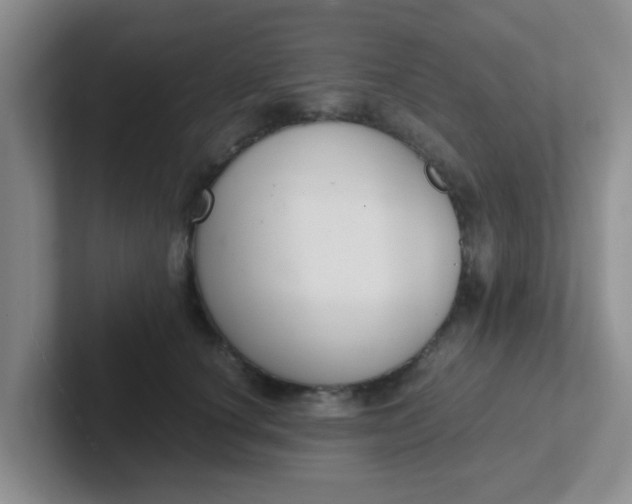 X0000102300660200808081545