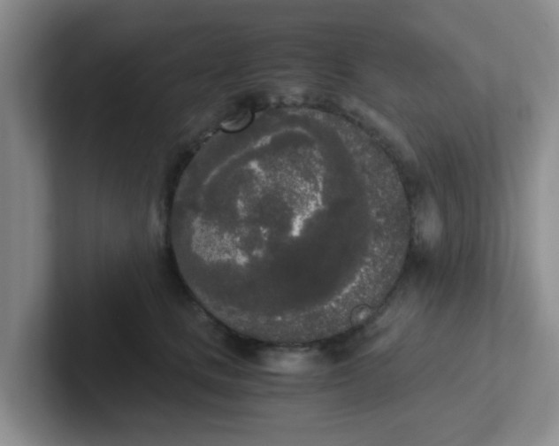 X0000102300661200808081545