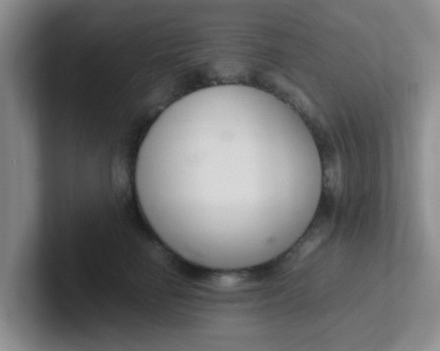 X0000102300662200808081545