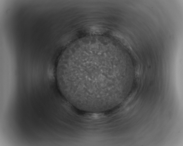 X0000102300663200808081545