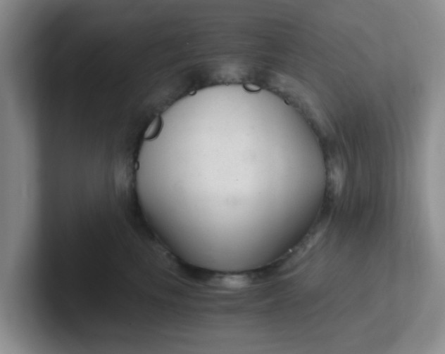 X0000102300665200808081545