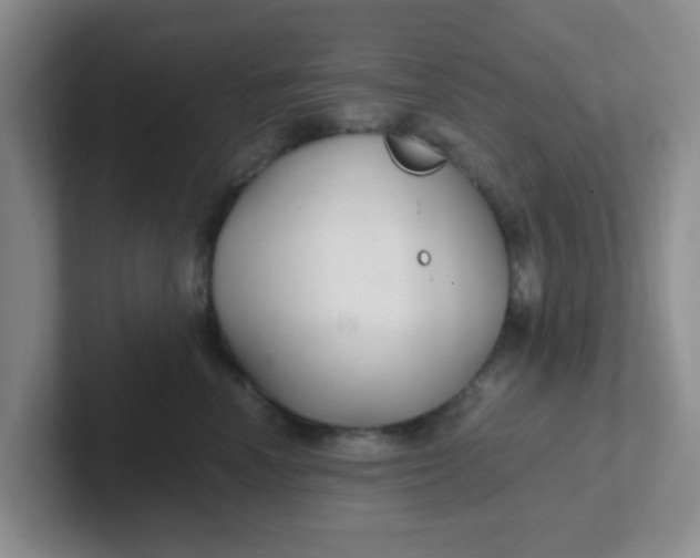 X0000102300666200808081545