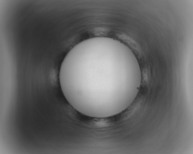 X0000102300667200808081545