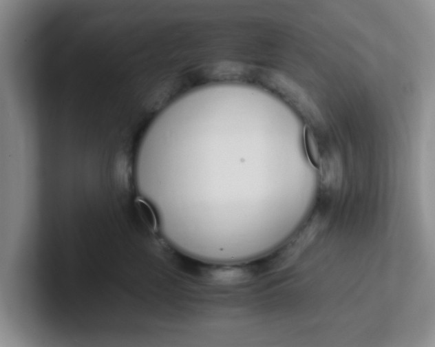 X0000102300669200808081545