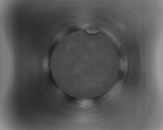 X0000102300670200808081545