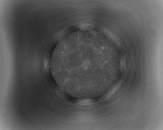 X0000102300671200808081546