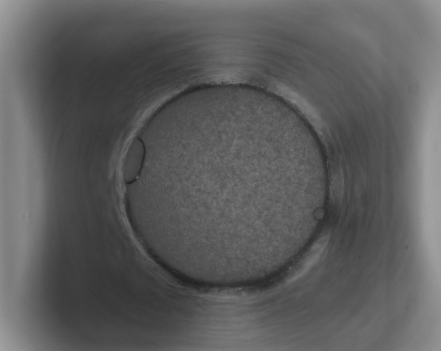 X0000102300673200808081545