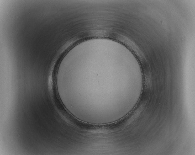 X0000102300674200808081545