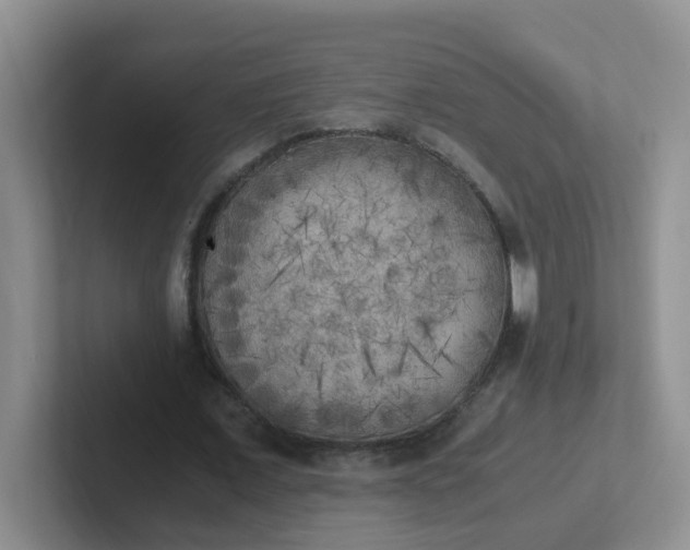 X0000102300675200808081545