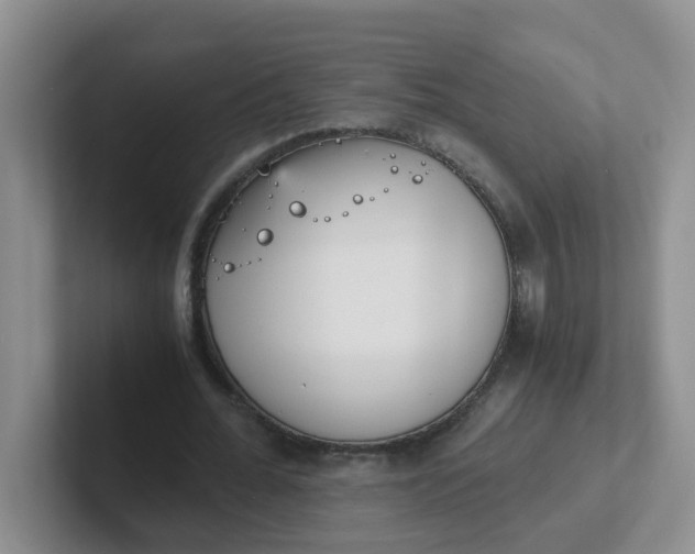 X0000102300676200808081545