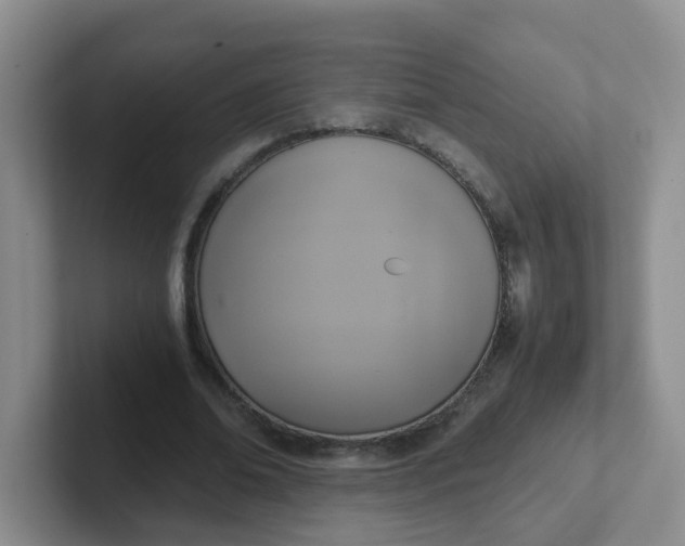 X0000102300678200808081545