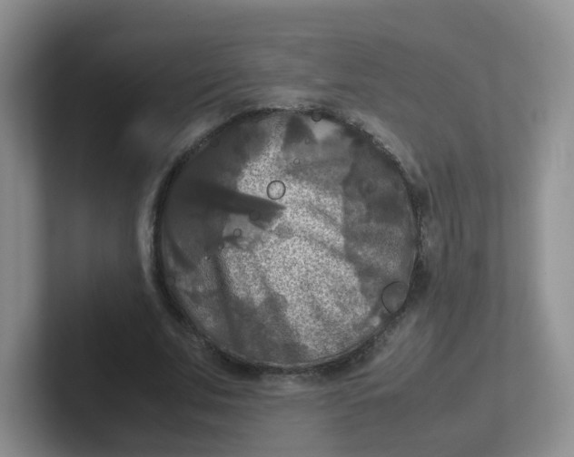 X0000102300679200808081545