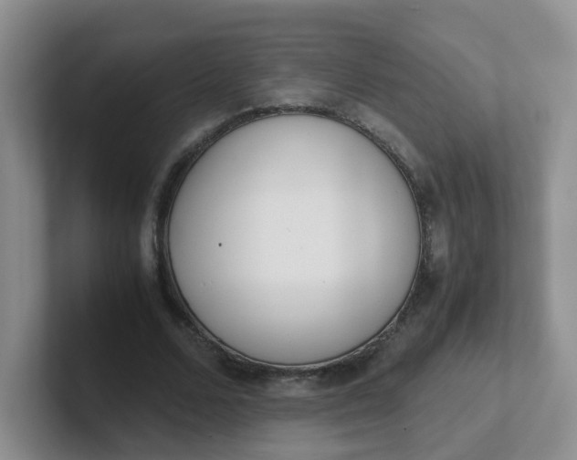 X0000102300680200808081545