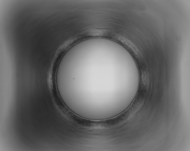 X0000102300682200808081545