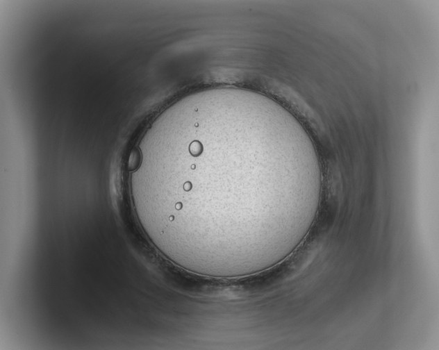 X0000102300683200808081545