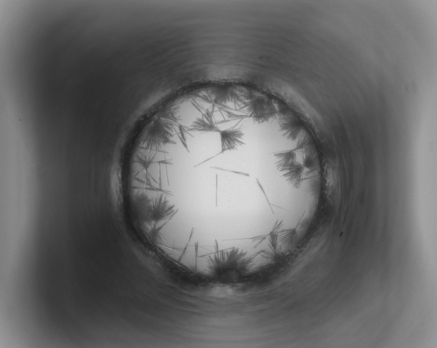 X0000102300684200808081545