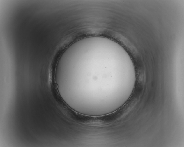 X0000102300685200808081545