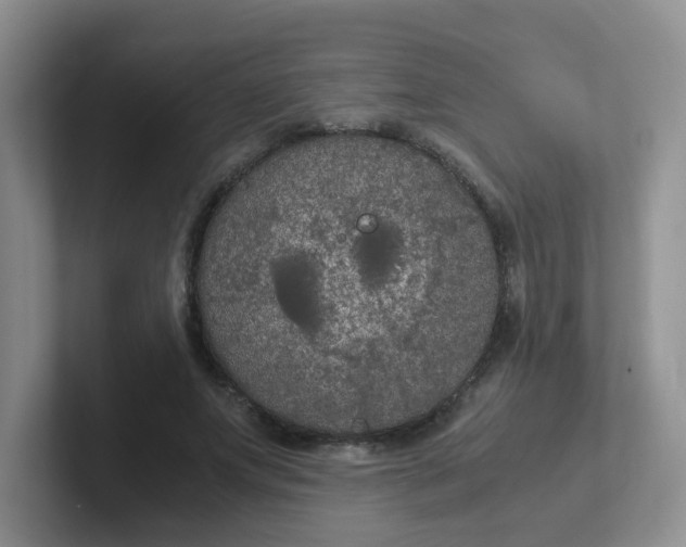 X0000102300687200808081545