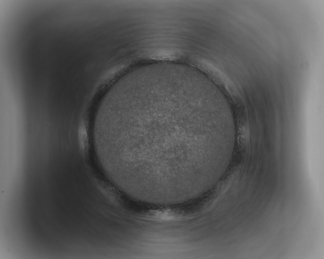 X0000102300688200808081545