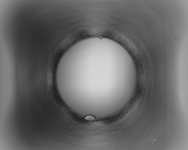 X0000102300689200808081545