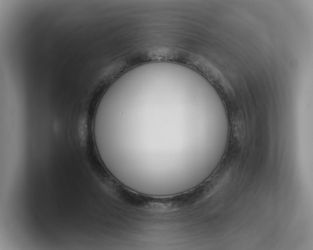 X0000102300690200808081545