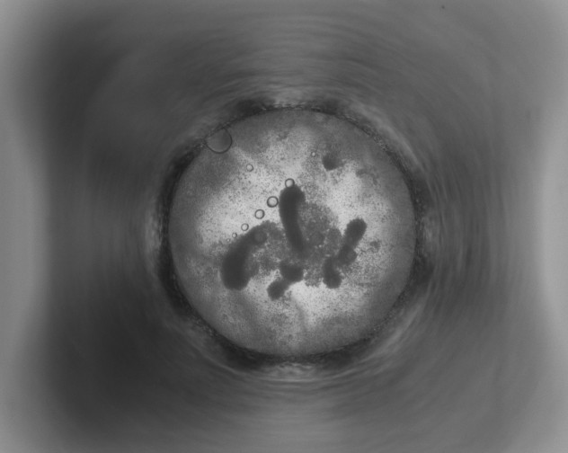 X0000102300691200808081545