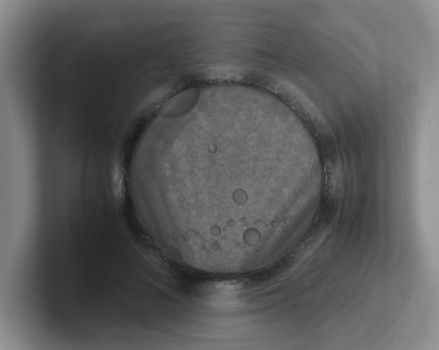 X0000102300692200808081545