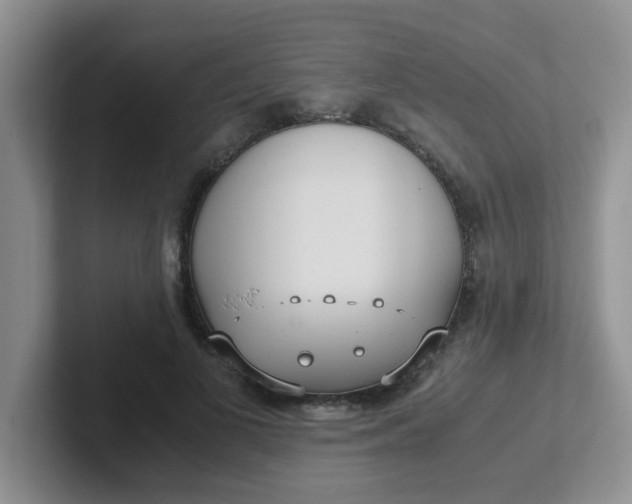 X0000102300693200808081545