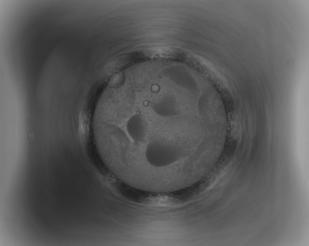 X0000102300695200808081545