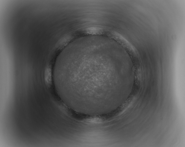 X0000102300696200808081545