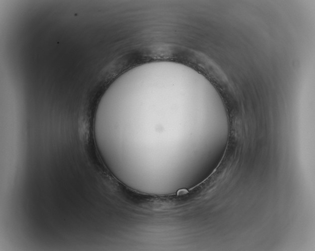 X0000102300697200808081545