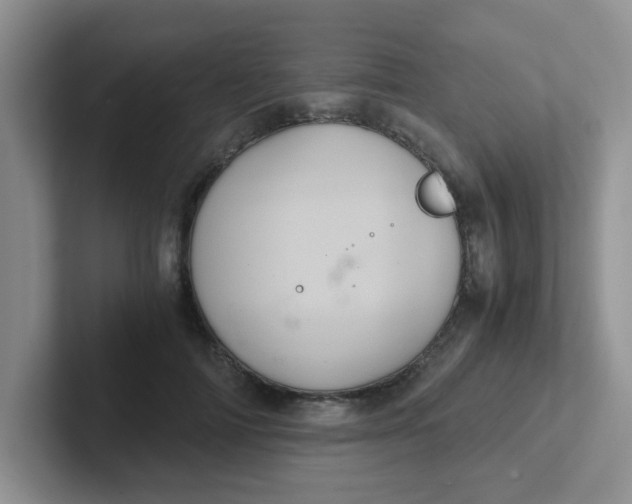 X0000102300698200808081545