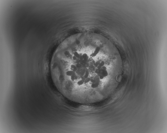 X0000102300699200808081544