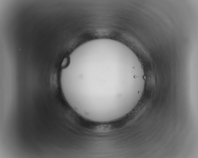 X0000102300700200808081544