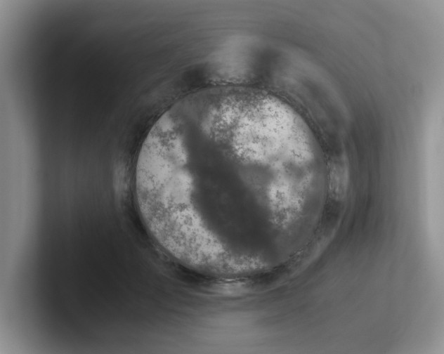 X0000102300701200808081544