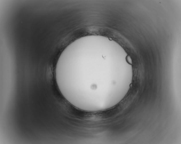 X0000102300702200808081544