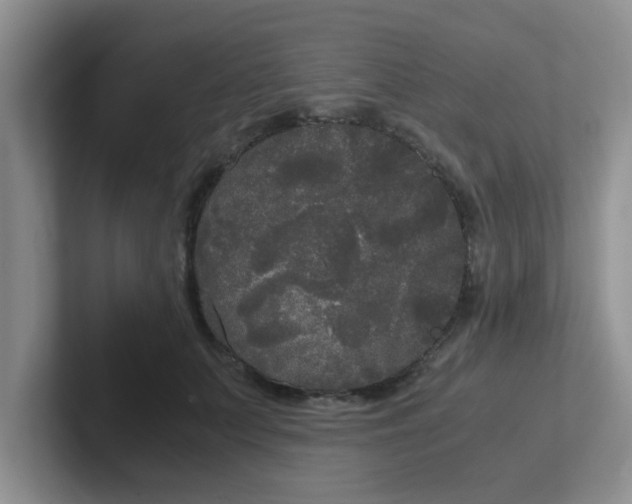 X0000102300703200808081544