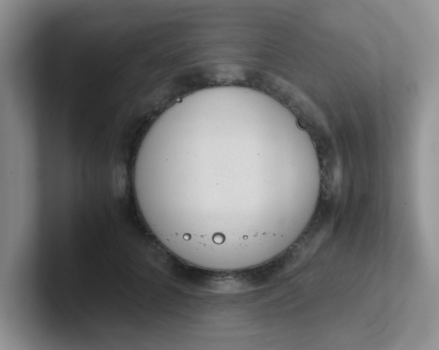 X0000102300704200808081544