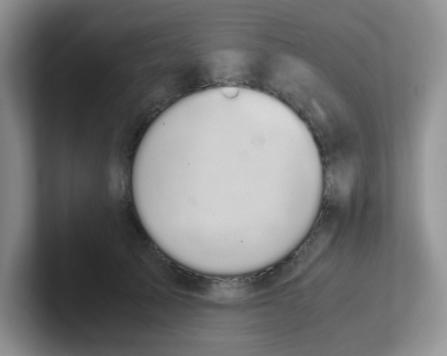 X0000102300705200808081544